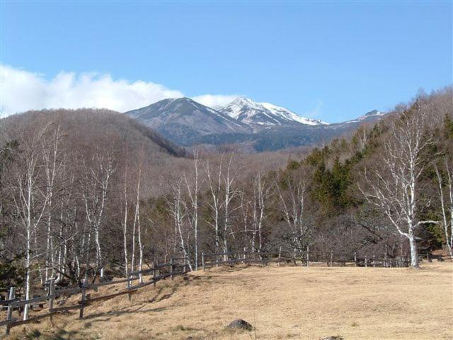 Onsen Inn 36So Matsumoto Luaran gambar